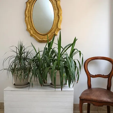 3v * Бардолино